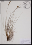 000190918-thumbnail.jpg