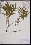 000190920-thumbnail.jpg