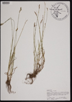 000190922-thumbnail.jpg