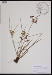 000190934-thumbnail.jpg