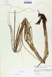TTRS_000000110-thumbnail.jpg