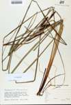 TTRS_000000144-thumbnail.jpg