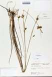 TTRS_000000244-thumbnail.jpg