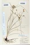 TTRS_000000271-thumbnail.jpg