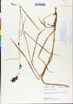 TTRS_000000604-thumbnail.jpg