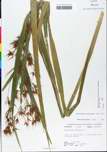 TTRS_000000608-thumbnail.jpg