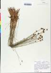 TTRS_000000628-thumbnail.jpg