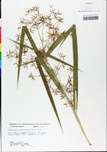 TTRS_000000637-thumbnail.jpg