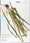 TTRS_000000638-thumbnail.jpg