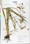 TTRS_000000639-thumbnail.jpg