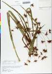 TTRS_000000644-thumbnail.jpg