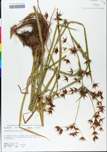 TTRS_000000646-thumbnail.jpg