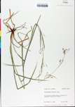TTRS_000000664-thumbnail.jpg