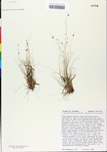 TTRS_000000665-thumbnail.jpg
