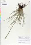 TTRS_000000694-thumbnail.jpg