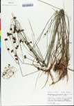 TTRS_000000699-thumbnail.jpg