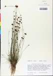 TTRS_000000707-thumbnail.jpg