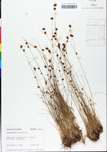 TTRS_000000711-thumbnail.jpg