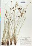 TTRS_000000712-thumbnail.jpg