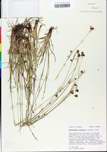 TTRS_000000718-thumbnail.jpg