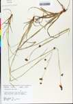 TTRS_000000737-thumbnail.jpg