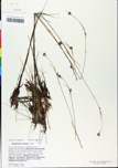 TTRS_000000741-thumbnail.jpg
