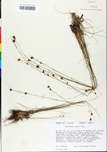 TTRS_000000744-thumbnail.jpg