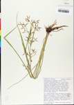 TTRS_000000756-thumbnail.jpg