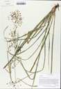 TTRS_000000795-thumbnail.jpg