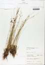 TTRS_000000813-thumbnail.jpg
