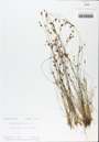 TTRS_000000836-thumbnail.jpg