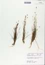 TTRS_000000837-thumbnail.jpg
