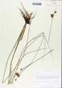 TTRS_000000857-thumbnail.jpg
