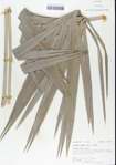 TTRS_000001455-thumbnail.jpg