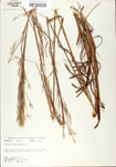 TTRS_000001509-thumbnail.jpg