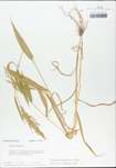 TTRS_000001739-thumbnail.jpg