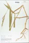 TTRS_000002311-thumbnail.jpg