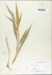 TTRS_000002313-thumbnail.jpg
