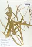 TTRS_000002314-thumbnail.jpg