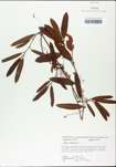 TTRS_000002789-thumbnail.jpg