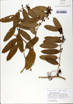 TTRS_000002791-thumbnail.jpg