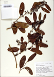TTRS_000002792-thumbnail.jpg