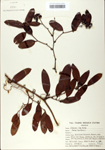 TTRS_000002798-thumbnail.jpg