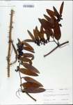 TTRS_000002799-thumbnail.jpg