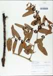 TTRS_000002800-thumbnail.jpg