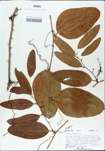 TTRS_000002802-thumbnail.jpg