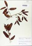 TTRS_000002803-thumbnail.jpg