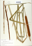 TTRS_000002848-thumbnail.jpg