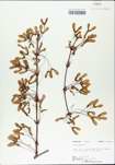 TTRS_000002970-thumbnail.jpg