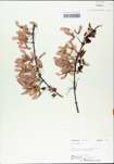 TTRS_000002971-thumbnail.jpg